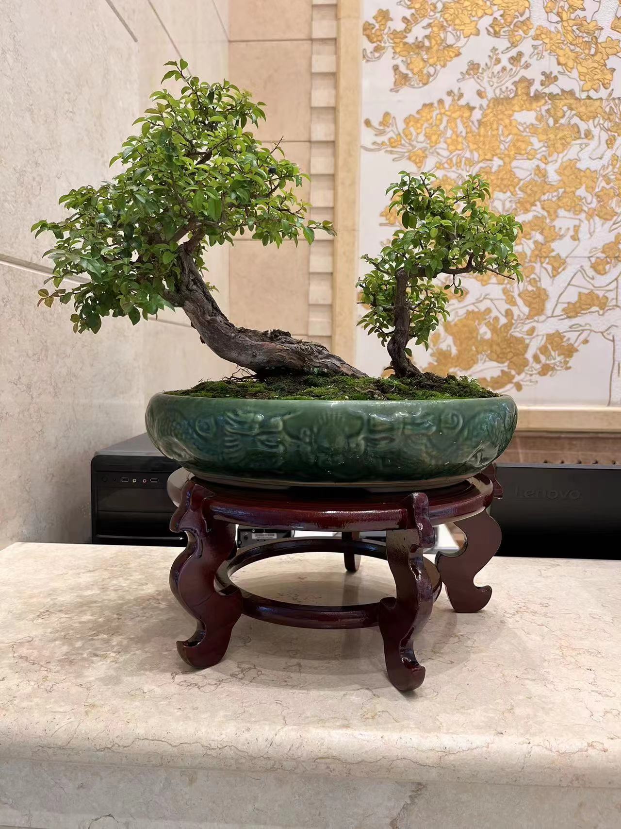 龙舞云涌设计图